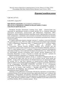 Обкладинка т. 41 зворот